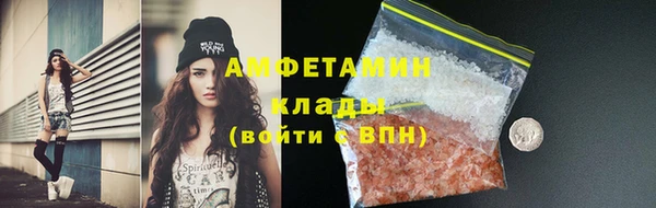 стафф Алзамай