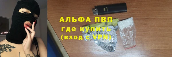 гидра Алексин