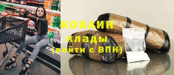 стафф Алзамай