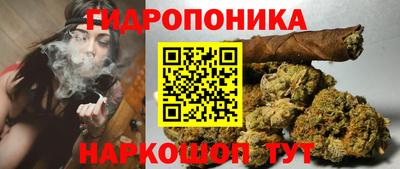 амф Жуковский