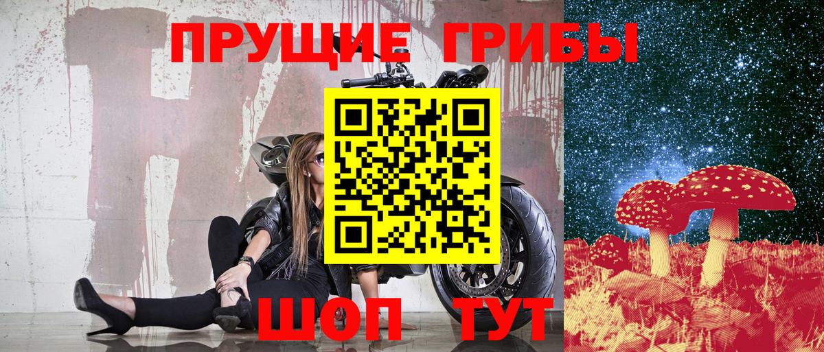 Псилоцибиновые грибы мухоморы Нижний Тагил